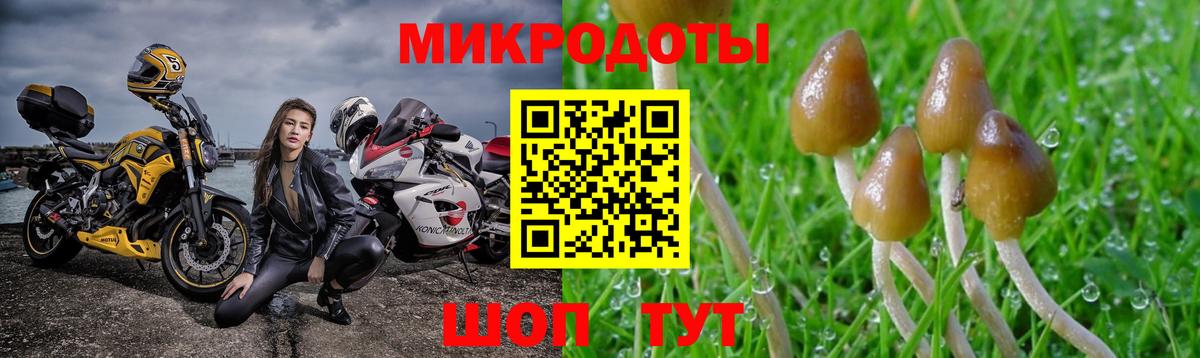 Псилоцибиновые грибы Psilocybe  Псилоцибиновые грибы Psilocybe  Люберцы  Вход с VPN 